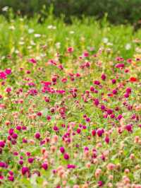 🌿 คาเฟ่วิวหลักล้าน…กลางธรรมชาติสุดร่มรื่น 🍃