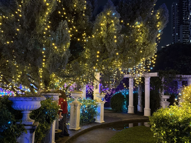 Light Up Your Night With Wonder