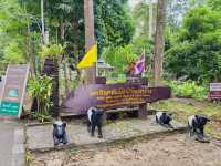 Ton Nga Chang Waterfall