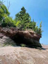 Where the Ocean Carves Magic: Hopewell Rocks