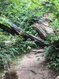 【断崖絶壁の国宝！三徳山投入堂で神秘の冒険旅⛰️】