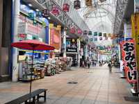 kogoshima city 