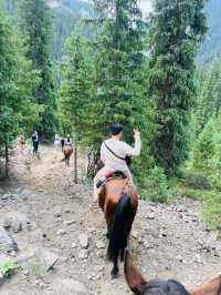 Love The horse