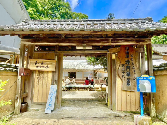 🇯🇵【愛媛】とべとべ川登市場！流しそうめんや手作り野菜(^^)