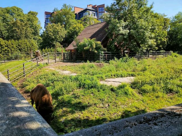 Kaliningrad Zoo