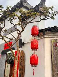 Hongcun Village – Preserving 900 Years of Chinese Elegance