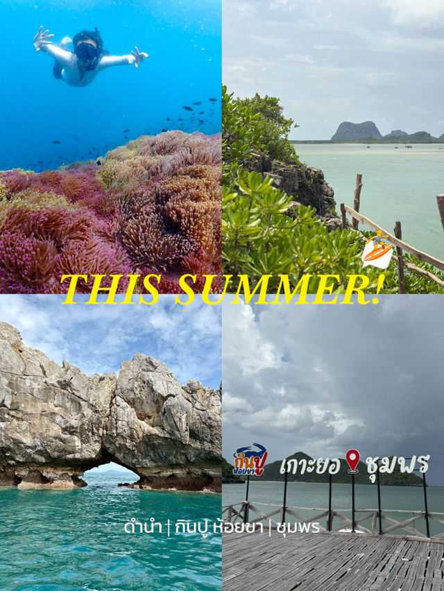 ดำน้ำ เกาะล้านเป็ดล้านไก่ ชุมพร