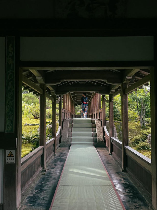 【天龍寺】心を整える禅の世界🌿嵐山の静寂に包まれる癒しの時間