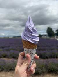Summer in Farm Tomita, Furano ☀️🪻🌷💐🍈