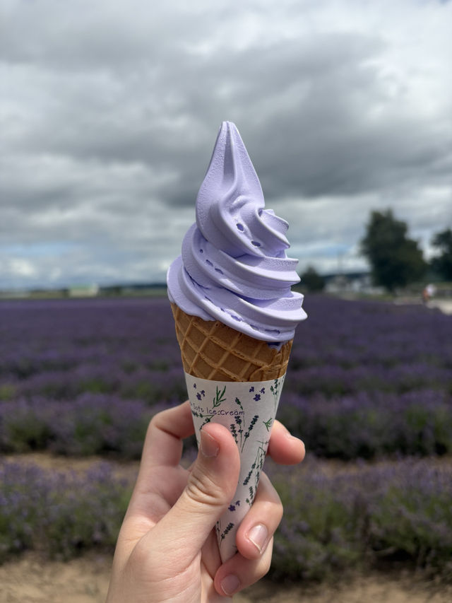 Summer in Farm Tomita, Furano ☀️🪻🌷💐🍈