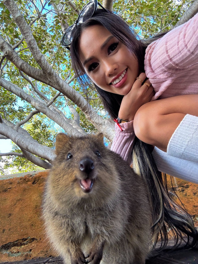 Rottnest Island: Smile with a Quokka!