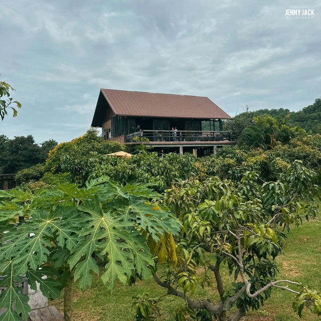 #คาเฟ่วิวภูเขา #เที่ยวเขาใหญ่ #คาเฟ่กลางหุบเขา