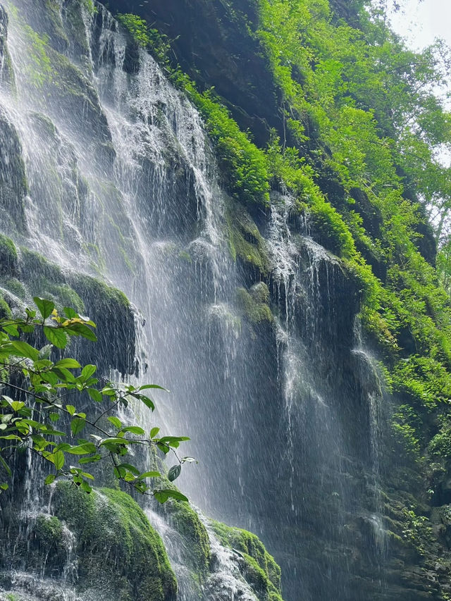 Longxian Waterfall 🌳 