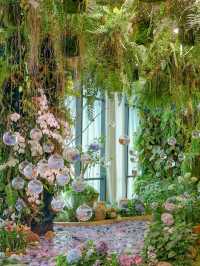 Hangzhou West Lake｜Indoor Monet Garden with Hydrangea Sea & Misty Aquarium 🌸🌿