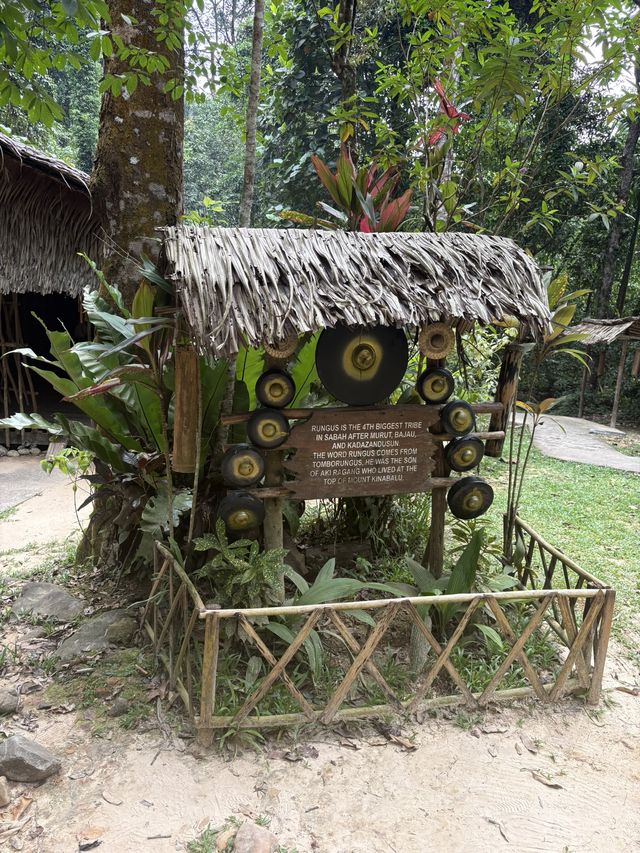 Echoes of Sabah: My Journey Through Mari Mari
