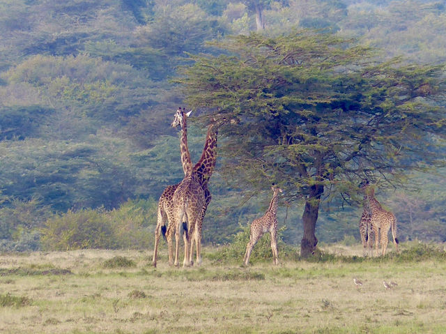 Kenya - Tanzania trip 2025 🇰🇪🇹🇿