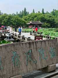 Quyuan Fenghe– Hangzhou’s Legendary Lotus Paradise