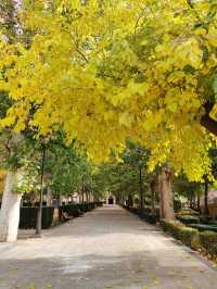 Cave Living and Chill Strolls in Barrio de las Cuevas