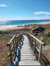 Peaceful Waves and Pine Trees at Praia do Vilar