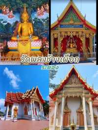 ค้นหาอดีตและความศักดิ์สิทธิ์ที่วัดพลงช้างเผือก