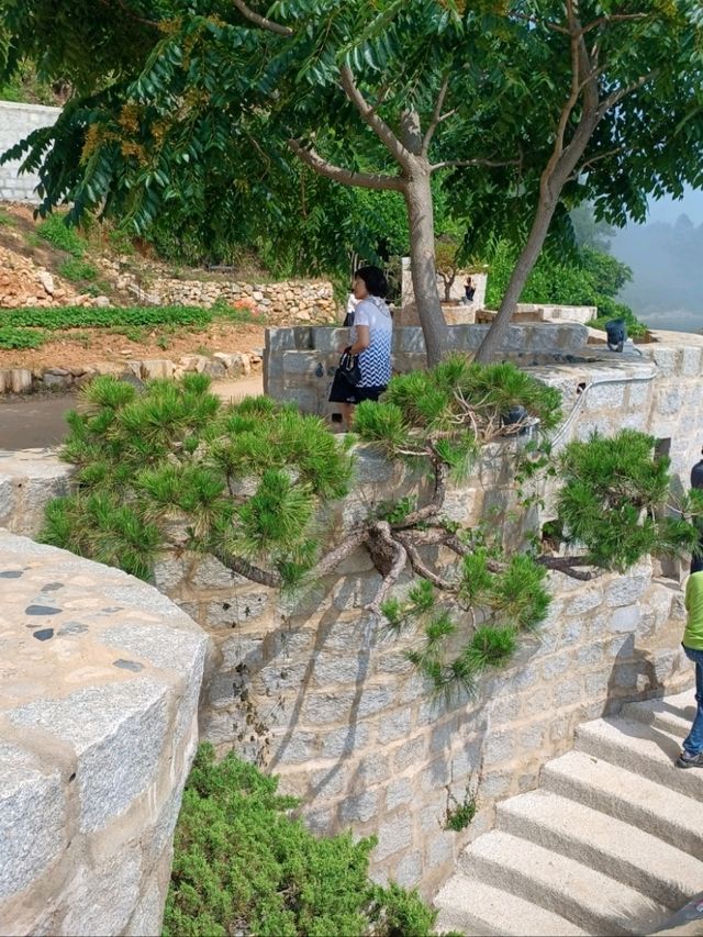돌로 만든 꿈의 성