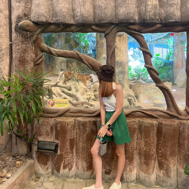 สวนสัตว์เปิดเขาเขียว @ศรีราชา 🌳🎡🦒