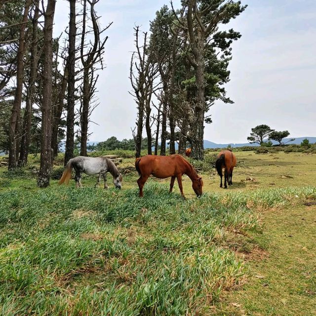 Views for Days at Garita de Herbeira