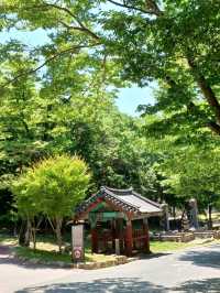 마음의 산책길