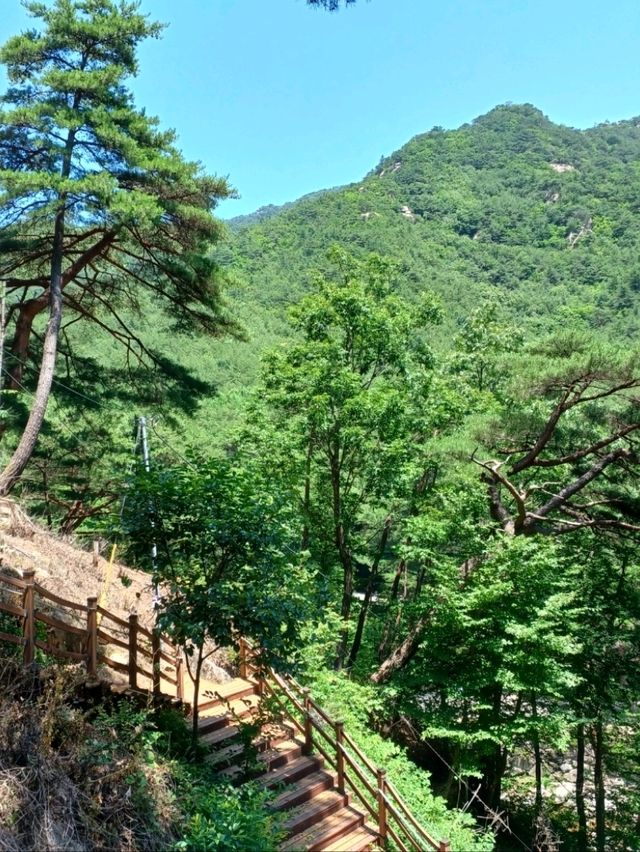 사계절 아름다운 풍경