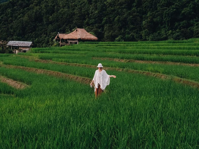 ไปมองสีเขียวที่นาขั้นบันได...บ้านป่าบงเปียงกันไหม?
