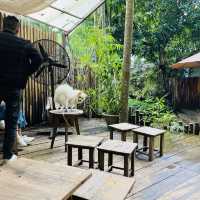 ☕ Hidden Charm in Danang — Amee Café, Where Every Corner Tells a Story