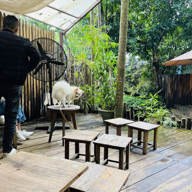 ☕ Hidden Charm in Danang — Amee Café, Where Every Corner Tells a Story