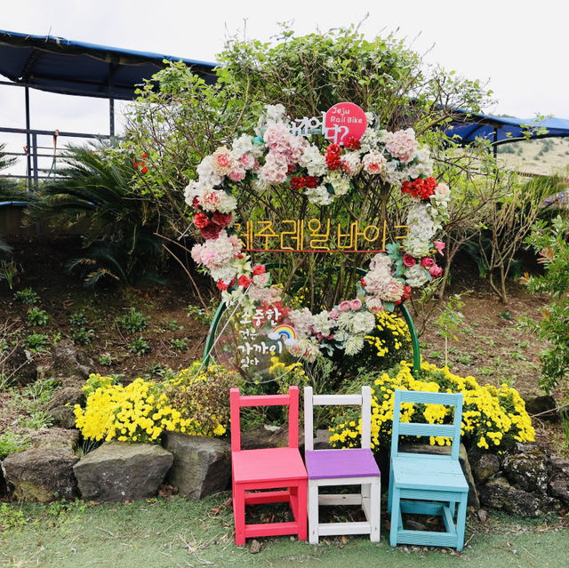 A Unique Pedal-Powered Journey Through Jeju's Scenery