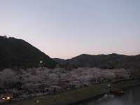 🌉錦帯橋|五連の木造アーチが描く、日本の美と技の結晶