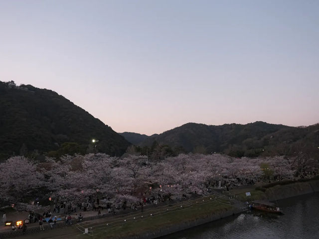 🌉錦帯橋|五連の木造アーチが描く、日本の美と技の結晶 🌉錦帯橋|五連の木造アーチが描く、日本の美と技の結晶