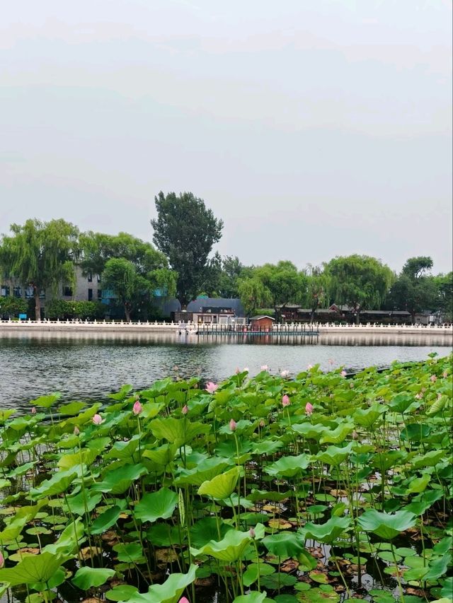 Shichahai – Beijing’s Living History Album