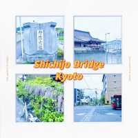 🌸 Strolling Through Shichijo Bridge Under Wisteria Skies