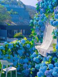 🦋 Cloud Sea Café – Xiamen’s Dreamy Flower Paradise with a View