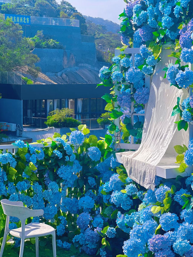 🦋 Cloud Sea Café – Xiamen’s Dreamy Flower Paradise with a View