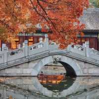 🍂 “Where the Red Leaves Whisper: An Autumn Stroll Through Xiangshan Park”