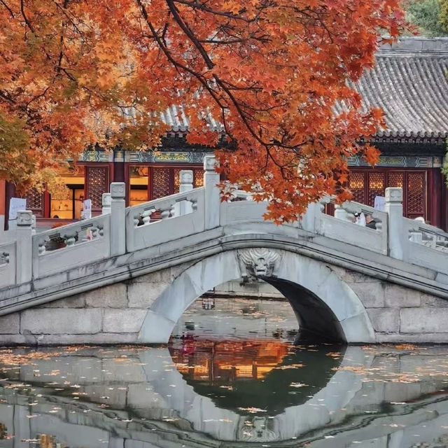 🍂 “Where the Red Leaves Whisper: An Autumn Stroll Through Xiangshan Park”
