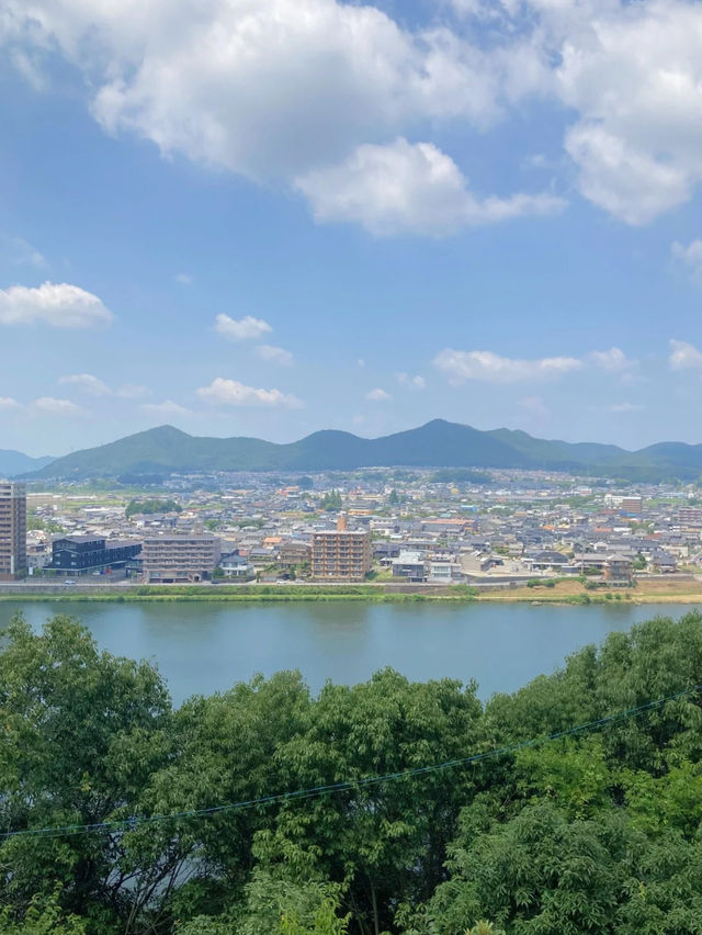【国宝】犬山城から見下ろす犬山の絶景