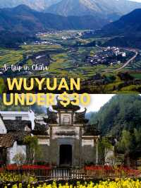 $30 in 🇨🇳 Wuyuan, Jiangxi Province, China