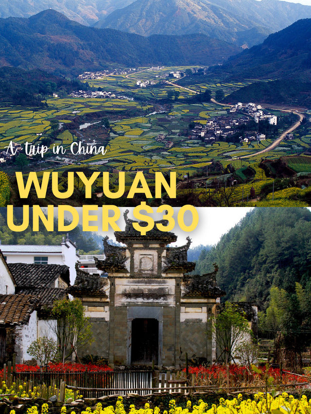 $30 in 🇨🇳 Wuyuan, Jiangxi Province, China $30 in 🇨🇳 Wuyuan, Jiangxi Province, China