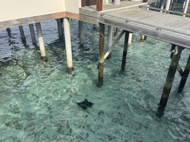 Refreshing trip in Maldives 