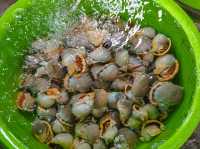 หมู่บ้านชาวประมง มุยเน่ (Mui Ne Fishing Village)