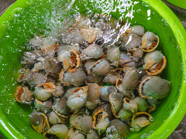 หมู่บ้านชาวประมง มุยเน่ (Mui Ne Fishing Village)