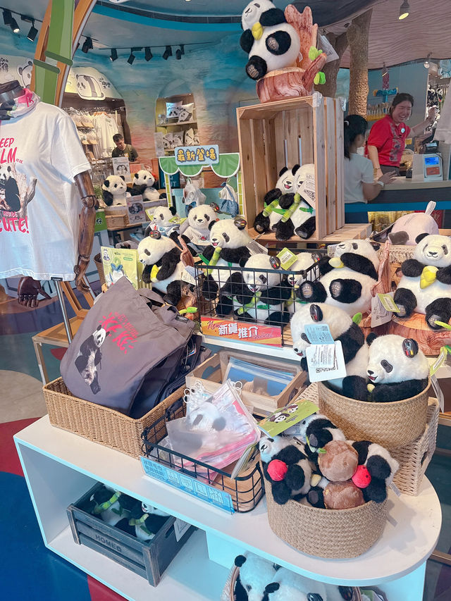 海洋公園一日遊 ｜熊貓寶寶超可愛🐼