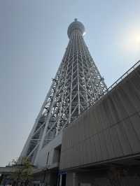 全方位視角:晴空塔的日夜、遠近與高空之美