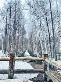 無論世界多麼冰冷， 只要心裡有光， 就能溫暖一切。《宮澤賢治》